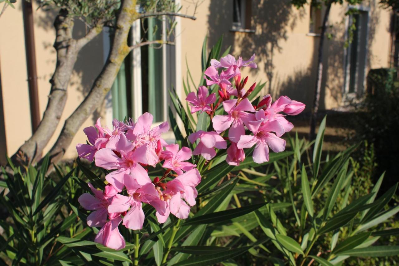 Toscana Biovillage Cecina  Dış mekan fotoğraf